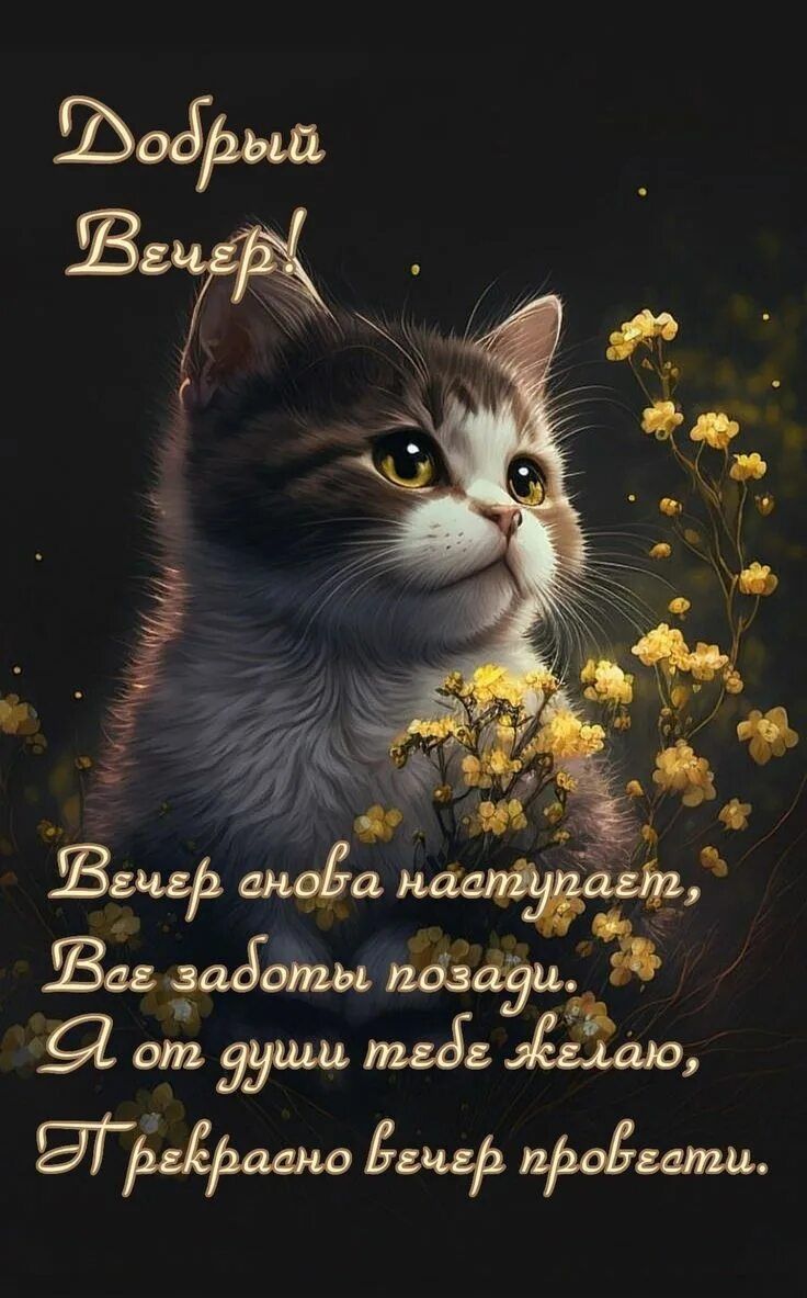 Открытка «Добрый вечер и пожелания»: Добрый вечер! Открытка с милым котиком и цветами. Тэги: Доброго вечера и хорошег…