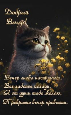 Открытка «Добрый вечер и пожелания»: Добрый вечер! Открытка с милым котиком и цветами. Тэги: Доброго вечера и хорошег…