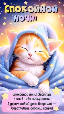 Открытка «Доброй ночи»: Спокойной ночи: милый рыжий кот под звездным одеялом. Тэги: Спокойной ночи, Спокойной ночи…