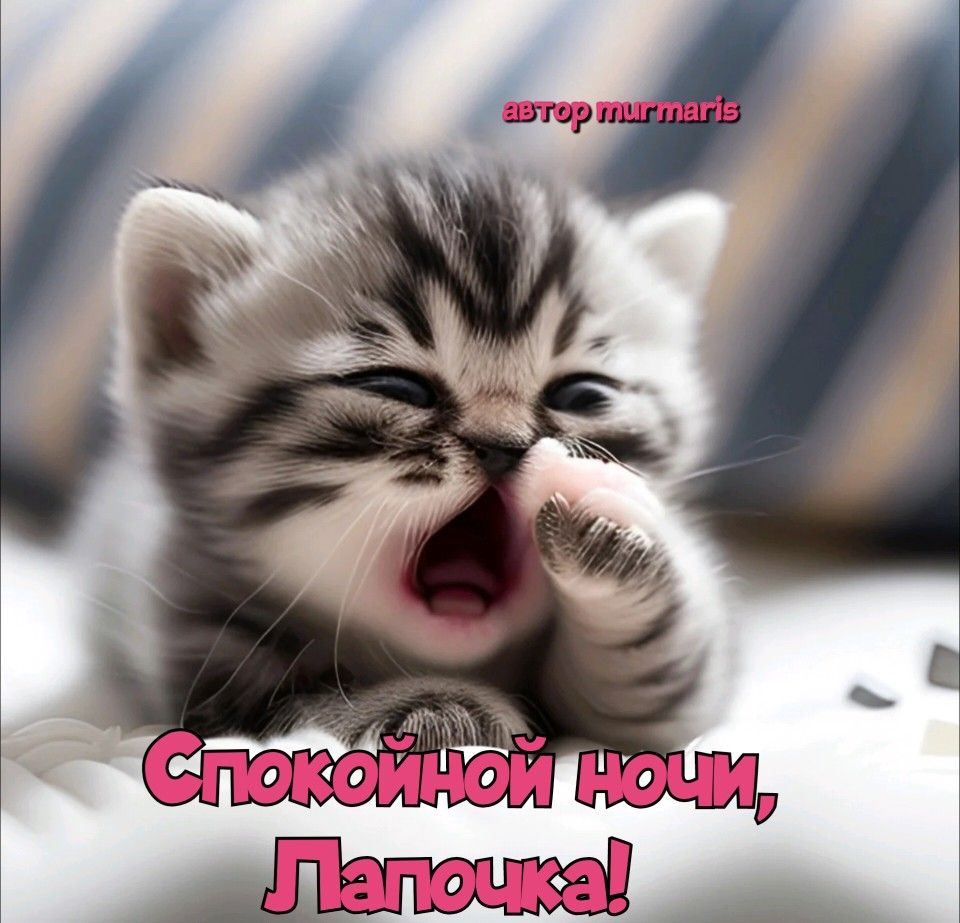 Открытка «Доброй ночи»: Спокойной ночи: милая открытка с маленьким котенком. Тэги: Спокойной ночи, Спокойной ночи…