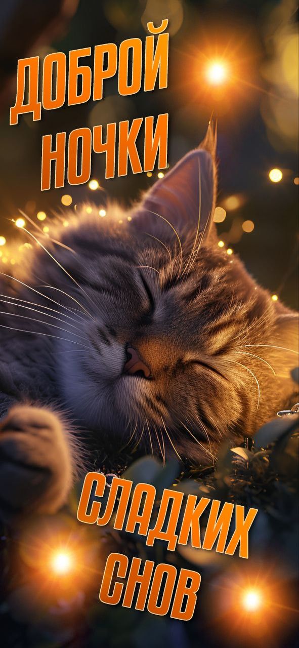 Открытка «Доброй ночи»: Спокойной ночи: милый кот в огнях гирлянды. Тэги: Спокойной ночи, Спокойной ночи, с пожелания…