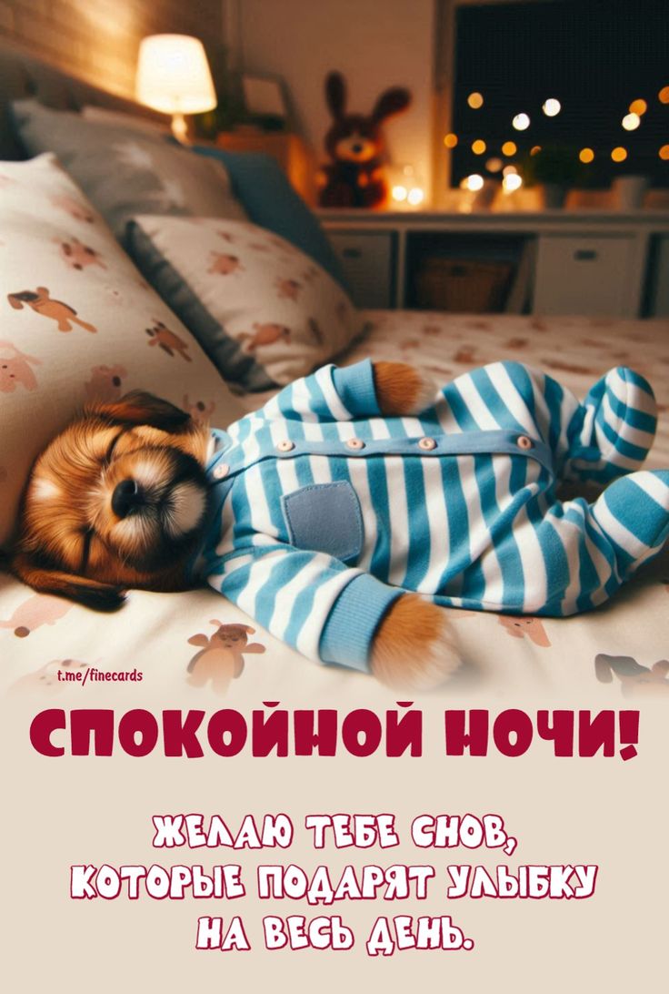 Открытка «Доброй ночи»: Спокойной ночи: милый песик в пижаме и доброе пожелание. Тэги: Спокойной ночи, Доброй и споко…