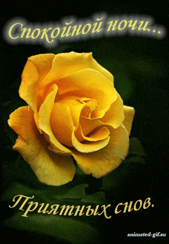 Открытка «Доброй ночи»: Доброй ночи: «Золотая роза» приятных снов. Тэги: Спокойной ночи, Спокойной ночи, красивые…