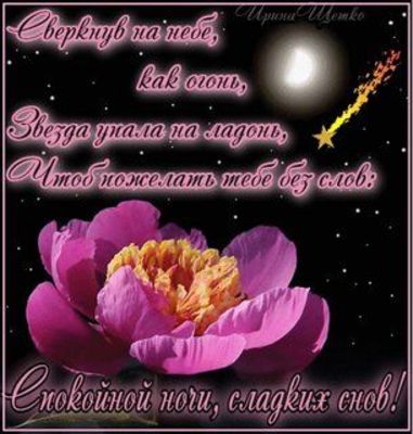 Открытка «Доброй ночи»: Спокойной ночи: Звезда упала на ладонь. Тэги: Спокойной ночи, ночной, Спокойной ночи, красивые…