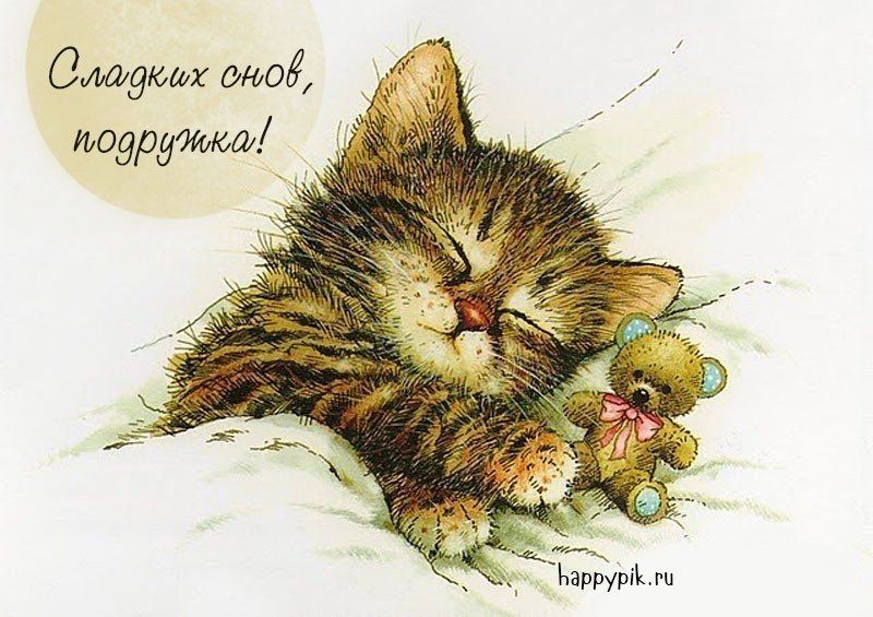 Открытка «Доброй ночи»: Доброй ночи, подружка: открытка со спящим котенком. Тэги: Спокойной ночи, пожелание, кот…