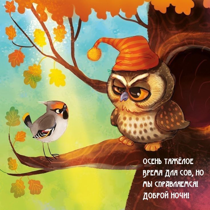 Открытка «Доброй ночи»: Спокойной ночи: Смешная сова и осеннее пожелание.