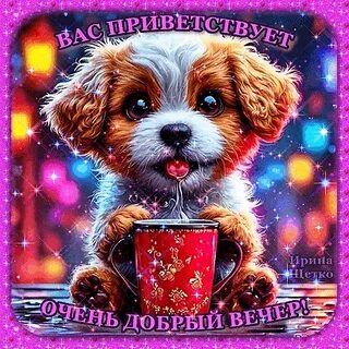 Открытка «Добрый вечер и пожелания»: Добрый вечер: милый щенок с чашкой чая. Тэги: Добрый вечер красивые, Доброго веч…