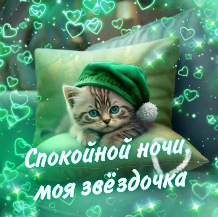 Открытка «Доброй ночи»: Спокойной ночи, моя звездочка: котик на подушке. Тэги: Спокойной ночи, Спокойной ночи, с поже…