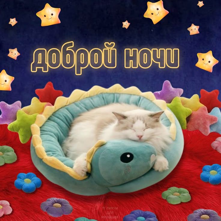 Открытка «Доброй ночи»: Спокойной и доброй ночи: «Милый кот в мягкой постели». Тэги: Спокойной ночи, Спокойной ночи…