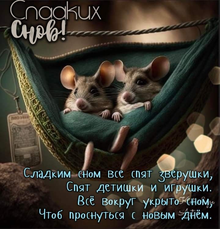 Открытка «Доброй ночи»: Спокойной ночи: две милые мышки в гамаке. Тэги: Спокойной ночи, Спокойной ночи, с пожеланиями…