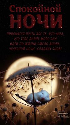 Открытка «Доброй ночи»: Спокойной ночи: стильное пожелание с мышонком. Тэги: Спокойной ночи, Спокойной ночи, с пожела…