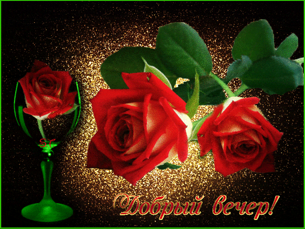 Открытка «Добрый вечер красивые»: Добрый вечер: Красивые розы и золотое сияние. Тэги: Необычный добрый вечер, Добрый…