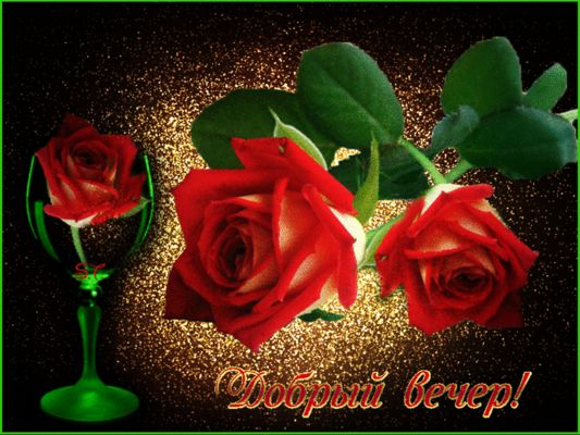 Открытка «Добрый вечер красивые»: Добрый вечер: Красивые розы и золотое сияние. Тэги: Необычный добрый вечер, Добрый…