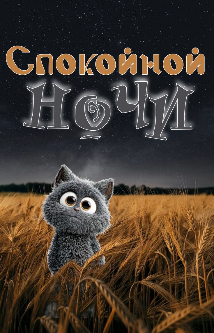 Открытка «Доброй ночи»: Спокойной ночи: милый котик в пшеничном поле. Тэги: Спокойной ночи, пожелание, забавный, кот…