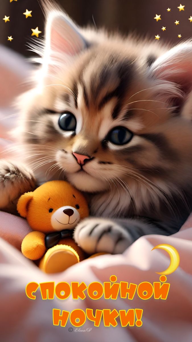 Открытка «Доброй ночи»: Спокойной ночи: милый котенок с игрушкой.