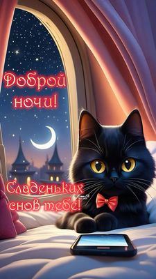 Открытка «Доброй ночи»: Доброй ночи: черный кот и сладкие сны. Тэги: Спокойной ночи, Спокойной ночи, с пожеланиями…