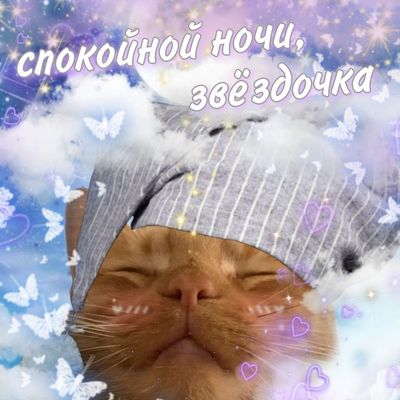 Открытка «Доброй ночи»: Спокойной ночи, звездочка: милый кот в чепчике. Тэги: Спокойной ночи, Спокойной ночи, с пожел…