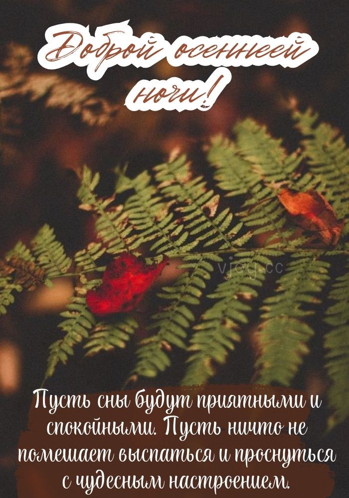 Открытка «Доброй ночи»: Доброй ночи: «Осенний папоротник» и чудесное настроение. Тэги: Спокойной ночи, Спокойной ночи…