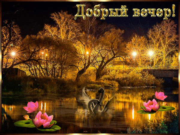 Открытка «Добрый вечер и пожелания»: Добрый вечер: Красивая открытка с лебедем и лотосом. Тэги: Доброго вечера и хоро…