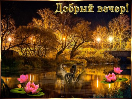 Открытка «Добрый вечер и пожелания»: Добрый вечер: Красивая открытка с лебедем и лотосом. Тэги: Доброго вечера и хоро…