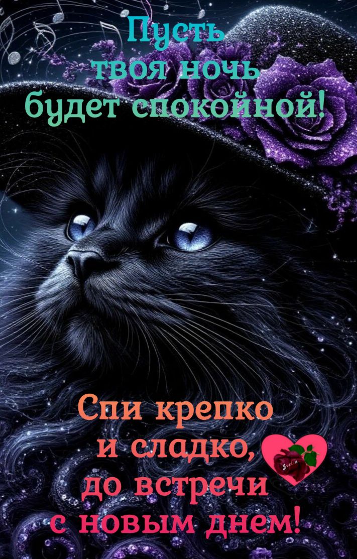 Открытка «Доброй ночи»: Доброй ночи: черный кот в шляпе и пожелание. Тэги: Спокойной ночи, Спокойной ночи, красивые…