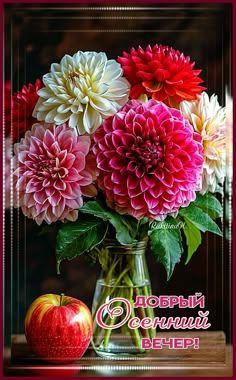Открытка «Добрый вечер и пожелания»: Добрый вечер: «Осенний букет с георгинами». Тэги: Добрый вечер красивые, Добрый…