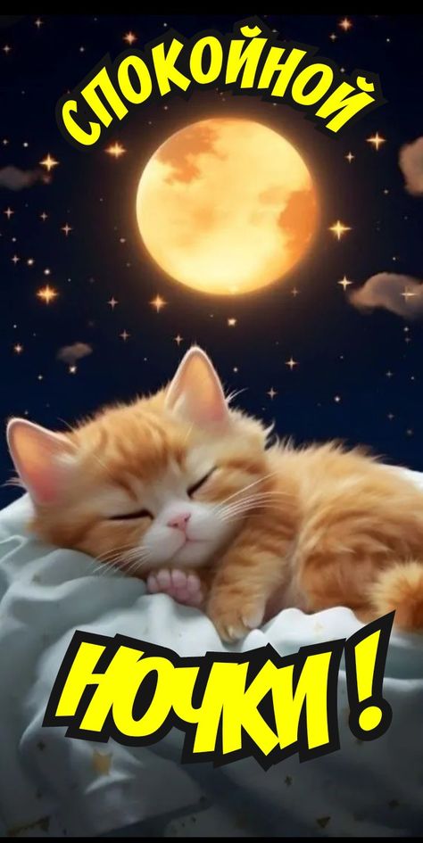Открытка «Доброй ночи»: Спокойной ночи: милый рыжий котик под луной. Тэги: Спокойной ночи, Спокойной ночи, красивые…