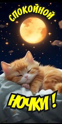 Открытка «Доброй ночи»: Спокойной ночи: милый рыжий котик под луной. Тэги: Спокойной ночи, Спокойной ночи, красивые…