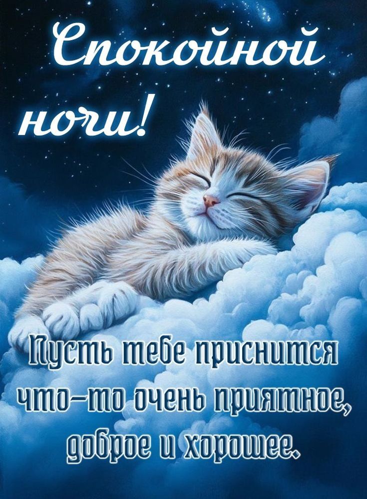 Открытка «Доброй ночи»: Спокойной ночи: милый котик на облаке. Тэги: Спокойной ночи, Спокойной ночи, с пожеланиями…