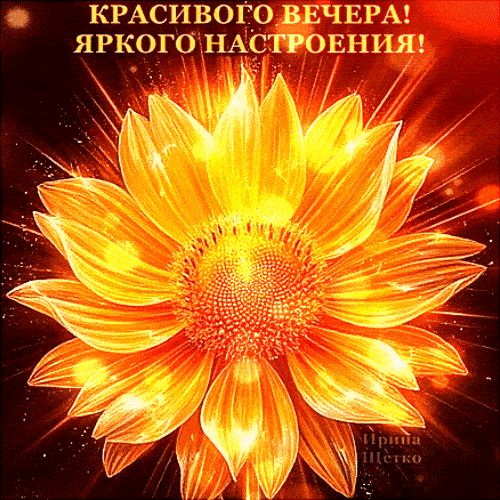 Открытка «Добрый вечер и пожелания»: Добрый вечер и пожелание яркого настроения. Тэги: Добрый вечер красивые, Добрый…