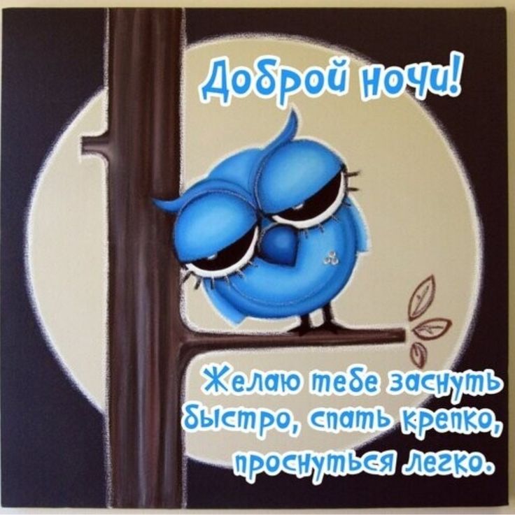 Открытка «Доброй ночи»: Доброй ночи: «Забавная сова» на ветке. Тэги: Спокойной ночи, Спокойной ночи, с пожеланиями…