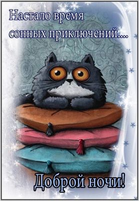 Открытка «Доброй ночи»: Доброй ночи: Смешной кот и сонные приключения.