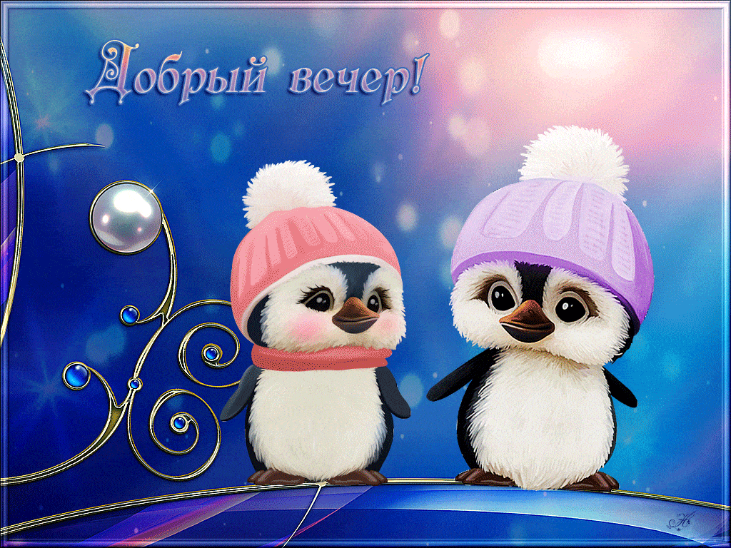Открытка «Добрый вечер и пожелания»: Добрый вечер: милые пингвины в шапках. Тэги: Добрый зимний вечер, Добрый вечер к…