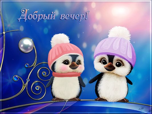 Открытка «Добрый вечер и пожелания»: Добрый вечер: милые пингвины в шапках. Тэги: Добрый зимний вечер, Добрый вечер к…