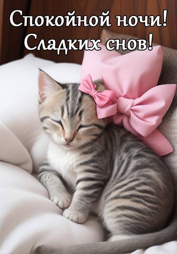 Открытка «Доброй ночи»: Спокойной ночи! Милая открытка со спящим котенком. Тэги: Спокойной ночи, Спокойной ночи…