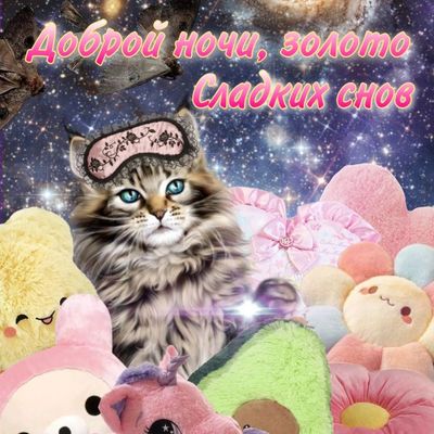 Открытка «Доброй ночи»: Доброй ночи, золото! Открытка со сладким котом. Тэги: Спокойной ночи, пожелание, прикольный…