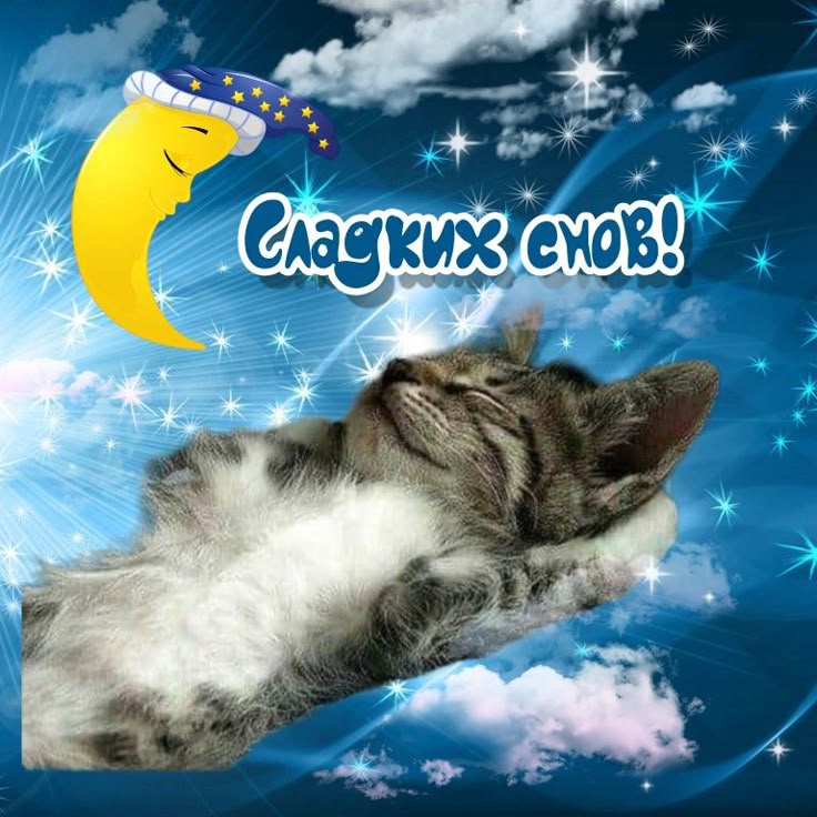 Открытка «Доброй ночи»: Спокойной ночи: милый котенок и Сладких снов!. Тэги: Спокойной ночи, Спокойной ночи, с пожела…