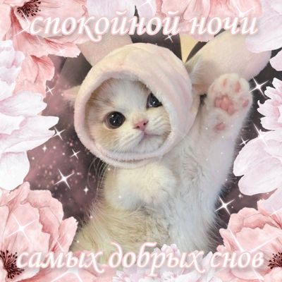 Открытка «Доброй ночи»: Спокойной ночи: милый котенок в шапочке с ушками. Тэги: Спокойной ночи, Спокойной ночи…