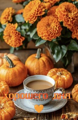 Открытка «Хорошего дня»: Добрый день: «Осенний натюрморт с тыквами». Тэги: Добрый день, Добрый день и добрые пожелания…