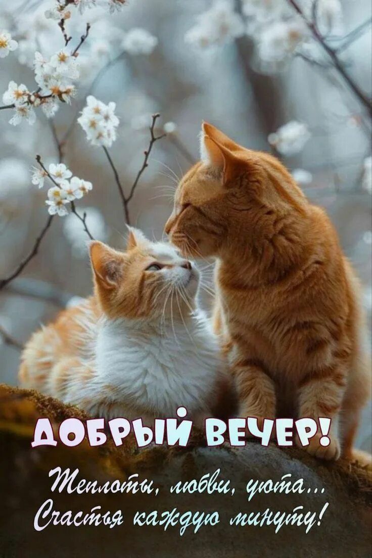 Открытка «Минута»: Добрый вечер! Тепла, любви и счастья каждую минуту. Тэги: Добрый вечер и пожелания, Добрый вечер к…