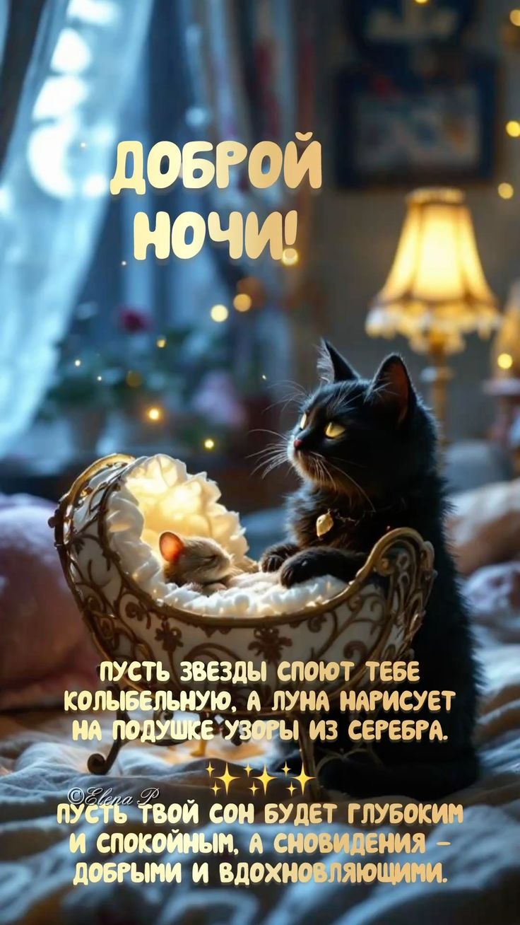 Открытка «Доброй ночи»: Открытка Доброй ночи с черным котом и пожеланием.