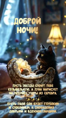 Открытка «Доброй ночи»: Открытка Доброй ночи с черным котом и пожеланием.