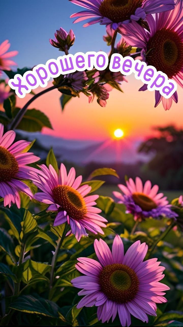 Открытка «Хорошего настроения»: Добрый вечер: «Цветы на фоне заката» для настроения. Тэги: пожелание, радость, надпись…