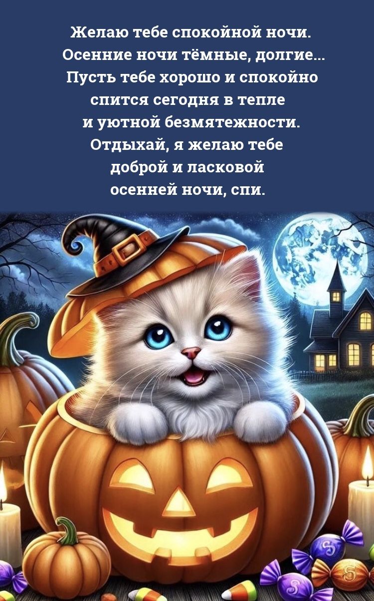 Открытка «Доброй ночи»: Доброй ночи: Милый котенок в тыкве и пожелание. Тэги: Спокойной ночи, Спокойной ночи, с пожел…
