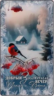 Открытка «Добрый вечер и пожелания»: Добрый вечер: красивый «Зимний пейзаж со снегирем». Тэги: Добрый зимний вечер…