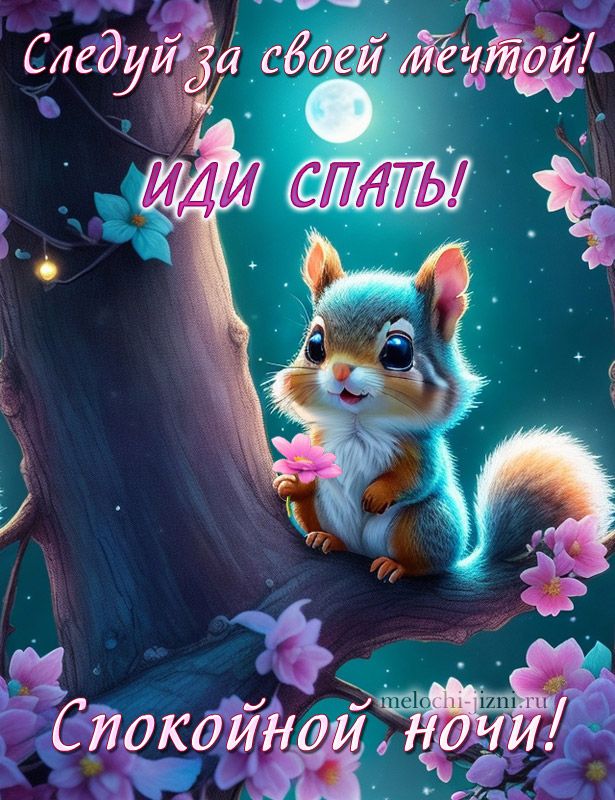 Открытка «Доброй ночи»: Спокойной ночи: прикольная открытка с белкой. Тэги: Спокойной ночи, Спокойной ночи, с пожелан…