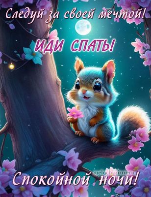 Открытка «Доброй ночи»: Спокойной ночи: прикольная открытка с белкой. Тэги: Спокойной ночи, Спокойной ночи, с пожелан…