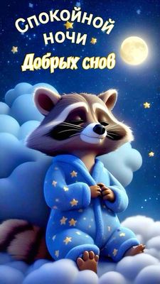 Открытка «Доброй ночи»: Спокойной ночи: милый енот на облаке. Тэги: Спокойной ночи, Спокойной ночи, с пожеланиями…