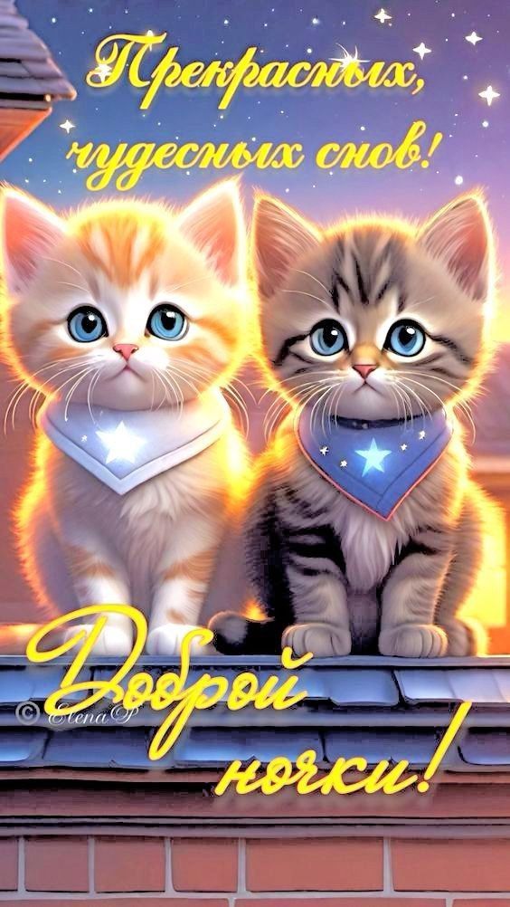 Открытка «Доброй ночи»: Доброй ночи: Прекрасных чудесных снов с котиками. Тэги: Спокойной ночи, Спокойной ночи…