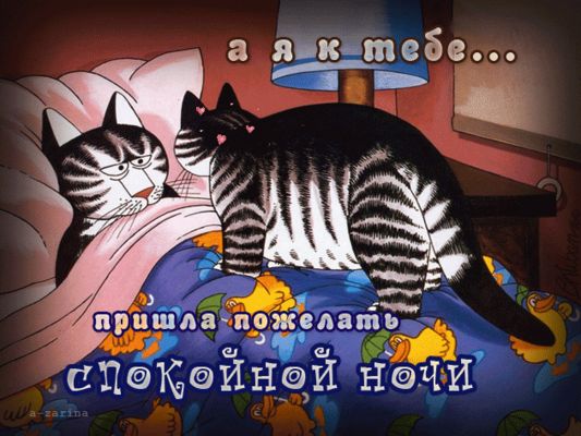 Открытка «Доброй ночи»: Спокойной ночи: прикольная открытка с котами. Тэги: Спокойной ночи, ночной, Спокойной ночи…
